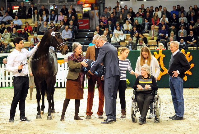 High Five - Trakehner Prmienhengst 2016  von Saint Cyr u.d. Hanna v. Summertime  - Foto: Beate Langels -
Trakehner Gestt Hmelschenburg