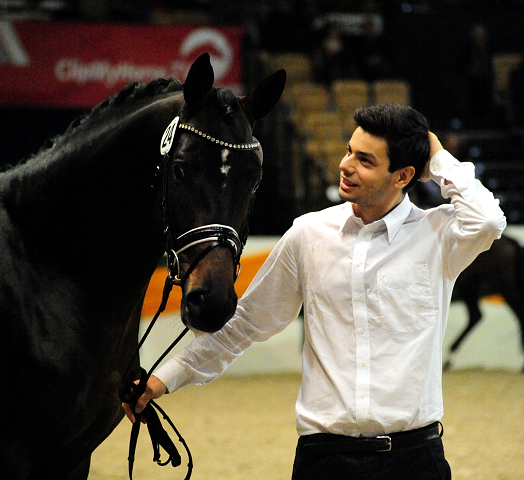High Five - Trakehner Prmienhengst 2016  von Saint Cyr u.d. Hanna v. Summertime  - Foto: Beate Langels -
Trakehner Gestt Hmelschenburg