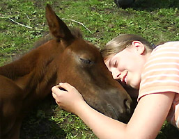 Kuschelzeit - Hengstfohlen von Showmaster