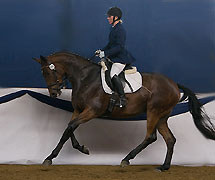 Siegerin der Stutenleistungsprfung: Hirtenfreude v. Summertime, Foto: Jutta Bauernschmitt