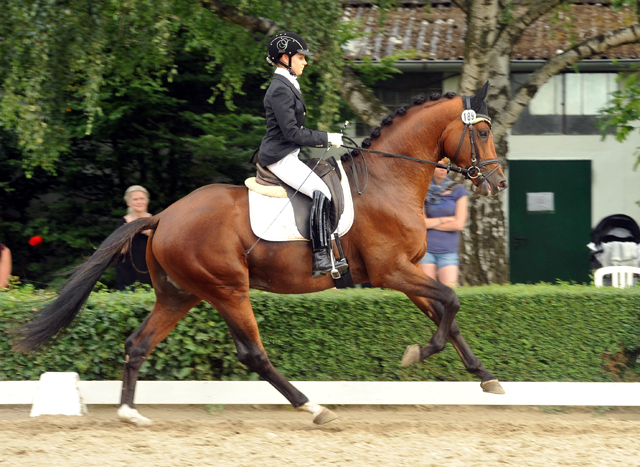 High Motion von Saint Cyr und Stephanie Leuenberger - Foto Beate Langels - Gestt Hmelschenburg