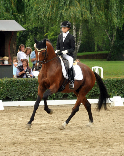 High Motion von Saint Cyr und Stephanie Leuenberger - Foto Beate Langels - Gestt Hmelschenburg