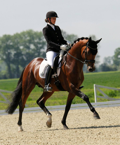 High Motion v. Saint Cyr x Summertime - Beate Langels Gestt Hmelschenburg - Foto: Philipp von Thaden