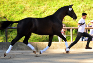 Im August 2016 in Hmelschenburg 2016