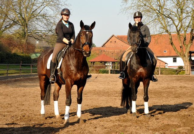 - Foto: Beate Langels - Trakehner Gestüt Hämelschenburg