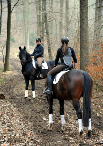 Jessica mit dem 4jährigen Exclusiv-Sohn aus der Vicenza und Sophie mit Oliver Twist - Foto: Beate Langels - Trakehner Gestüt Hämelschenburg