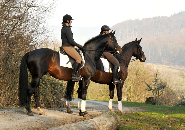 Jessica mit dem 4jährigen Exclusiv-Sohn aus der Vicenza und Sophie mit Oliver Twist - Foto: Beate Langels - Trakehner Gestüt Hämelschenburg