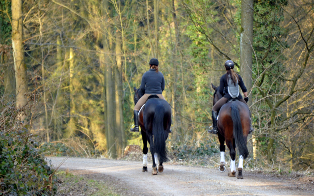 Jessica mit dem 4jährigen Exclusiv-Sohn aus der Vicenza und Sophie mit Oliver Twist - Foto: Beate Langels - Trakehner Gestüt Hämelschenburg
