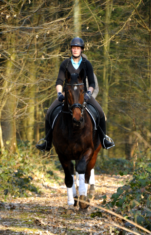 Jessica und der 4jhrige Exclusiv Sohn a.d. Vicenza v. Showmaster - Foto: Beate Langels - Trakehner Gestt Hmelschenburg