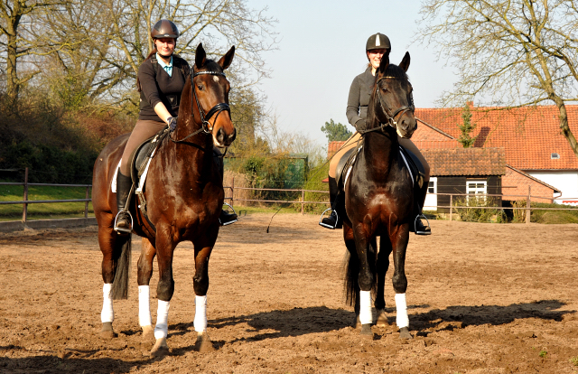  - Foto: Beate Langels - Trakehner Gestt Hmelschenburg