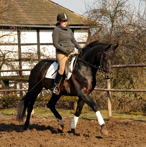 Oliver Twist und Sophie - Foto: Beate Langels - Trakehner Gestüt Hämelschenburg