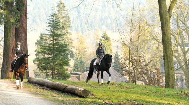 Jessica mit dem 4jährigen Exclusiv-Sohn aus der Vicenza und Sophie mit Oliver Twist - Foto: Beate Langels - Trakehner Gestüt Hämelschenburg