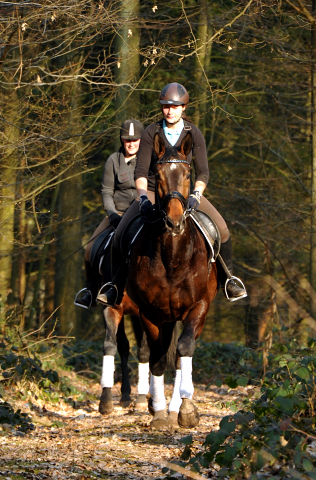 Jessica und der 4jhrige Exclusiv Sohn a.d. Vicenza v. Showmaster - Foto: Beate Langels - Trakehner Gestt Hmelschenburg