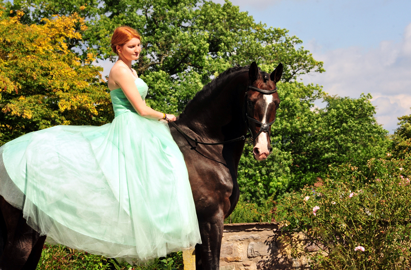 Prämienhengst Shavalou und Johanna - Trakehner Gest t H melschenburg - Foto: Beate Langels