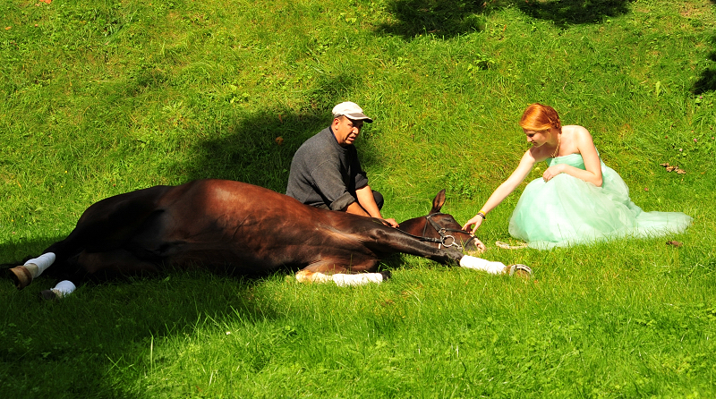 Prämienhengst Shavalou und Johanna - Trakehner Gest t H melschenburg - Foto: Beate Langels
