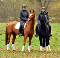November Impressionen  - Fotos Beate Langels- Trakehner Gestt Hmelschenburg