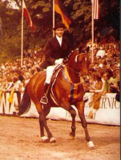H�melschenburgs 4facher Championatssieger Ibikus