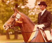 Ibikus - fourtimes German Riding Champion