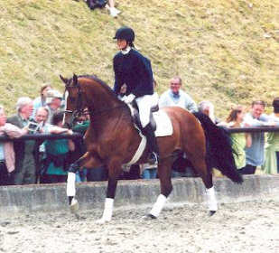 Freudenfest - geritten von Marion Langels