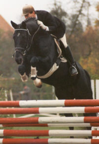 Kostolany at the stallion performance test