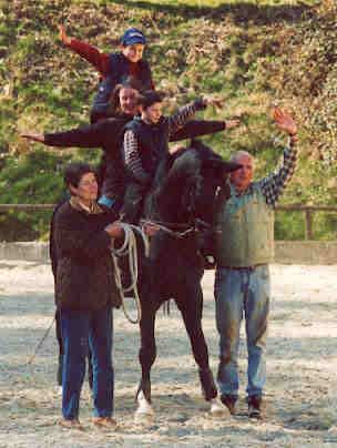 Kostolany - Top Charakter und zuverlssiges Familienpferd!
