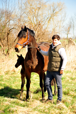 Philipp und Katniss Everdeen - Foto Beate Langels - Gestt Schplitz