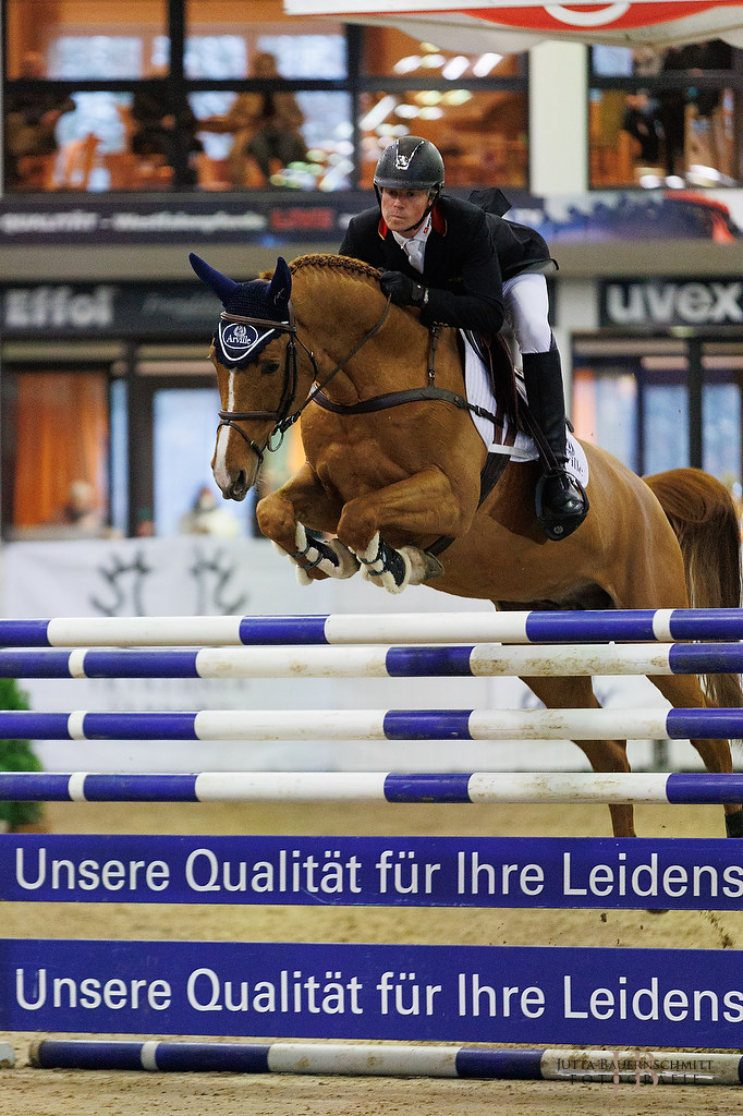Glcksruf v. Dramatiker x Opernball - Foto J. Bauernschmitt - 2022 auf Station im Trakehner Gestt Hmelschenburg