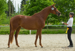 Prmienanwrterin Heart & Soul W von Touch my Heart - Foto: Jutta Bauernschmitt