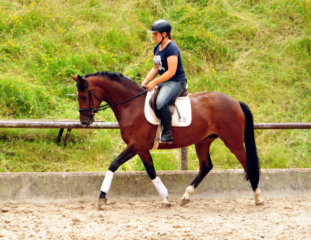 Karida von Oliver Twist u.d. Pr.u.StPrSt. Karena v. Freudenfest  - Foto: Beate Langels -  
Trakehner Gestt Hmelschenburg