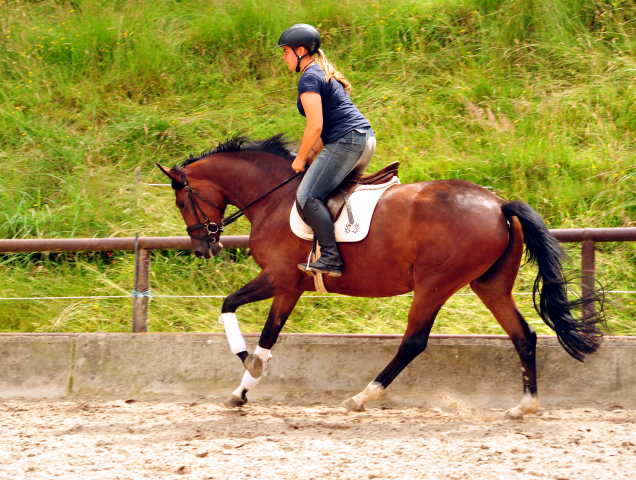 Karida von Oliver Twist u.d. Pr.u.StPrSt. Karena v. Freudenfest  - Foto: Beate Langels -  
Trakehner Gestt Hmelschenburg