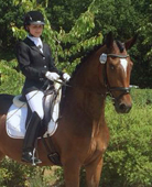 Katniss Everdeen von Saint Cyr - Siegerin der Stutenleistungsprfung am 7.7.2015