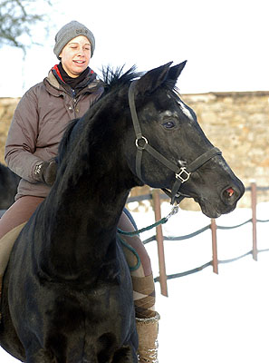 Kostolany (25-jhrig) - Foto: Beate Langels