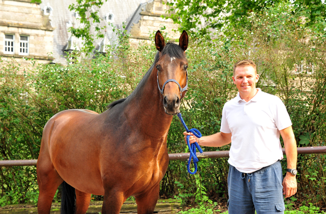 3jhriger Trakehner Hengst Karakallis v. High Motion  - Foto: Beate Langels - Trakehner Gestt Hmelschenburg