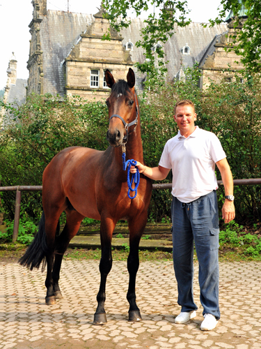 3jhriger Trakehner Hengst Karakallis v. High Motion  - Foto: Beate Langels - Trakehner Gestt Hmelschenburg