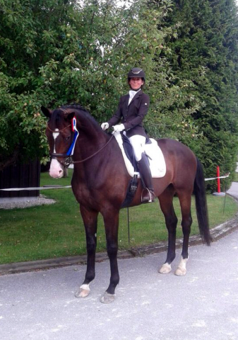 Esther und Grand Corazn von Symont u.d. Pr.u.StPrSt. Guendalina v. Red Patrick xx - Trakehner Gestt Hmelschenburg