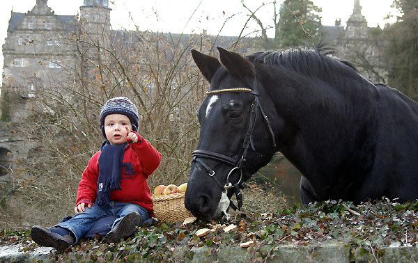 Jasper und Kostolany (am 24. Geburtstag), Trakehner Gestt Hmelschenburg - Beate Langels