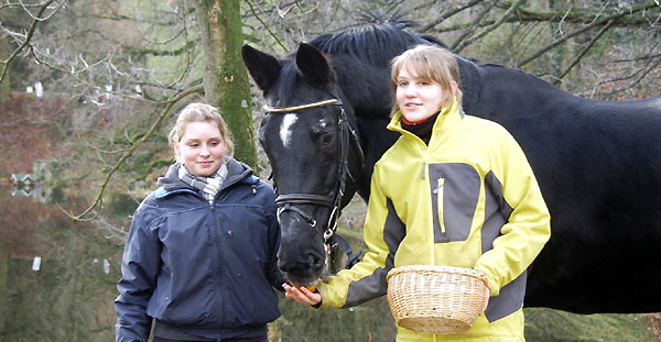  Kostolany - am 24. Geburtstag), Trakehner Gestt Hmelschenburg - Beate Langels