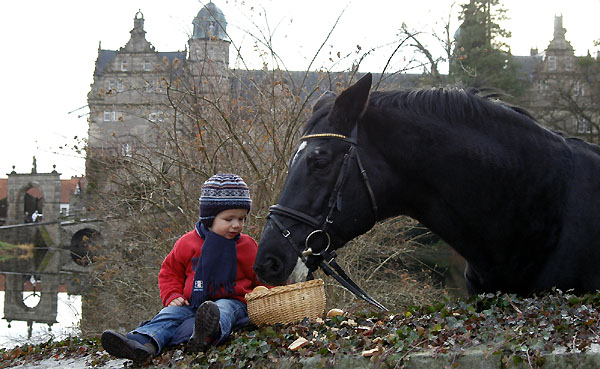 Jasper und Kostolany (am 24. Geburtstag), Trakehner Gestt Hmelschenburg - Beate Langels