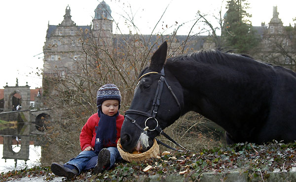 Jasper und Kostolany (am 24. Geburtstag), Trakehner Gestt Hmelschenburg - Beate Langels