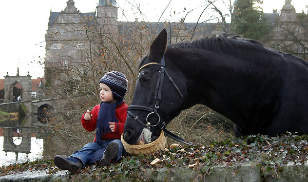 Jasper und Kostolany (am 24. Geburtstag), Trakehner Gestt Hmelschenburg - Beate Langels