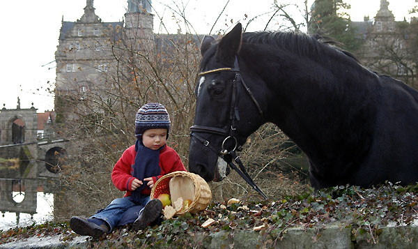 Jasper und Kostolany (am 24. Geburtstag), Trakehner Gestt Hmelschenburg - Beate Langels