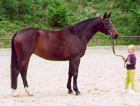 Kaiserjagd und Jan-Hendrik