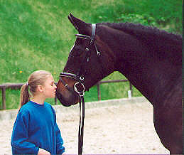 Kaiserjagd and Jan-Hendrik