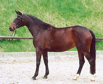 Kaiserjagd von Alter Fritz und Jan-Hendrik