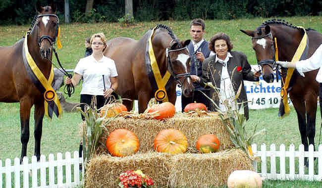 Sieger der Familiensammlung, Landesschau 2005