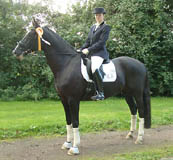 Kantaro v. Exclusiv u.d. Pr.St. Kleo's Beste v. Kostolany und Conny Schmitz