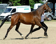 Prmienstute Kantate v. Summertime u.d. Pr.St. Kalmar v. Exclusiv