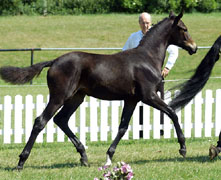 Karmencita v. Insteruburg u.d. Pr. u. StPrSt. Karena v. Freudenfest