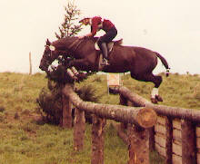 German Championship 1980