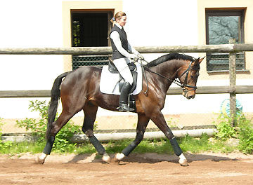 Kastelango v. Exclusiv u.d. Kassuben v. Enrico Caruso